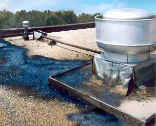 Promote Grease Safety